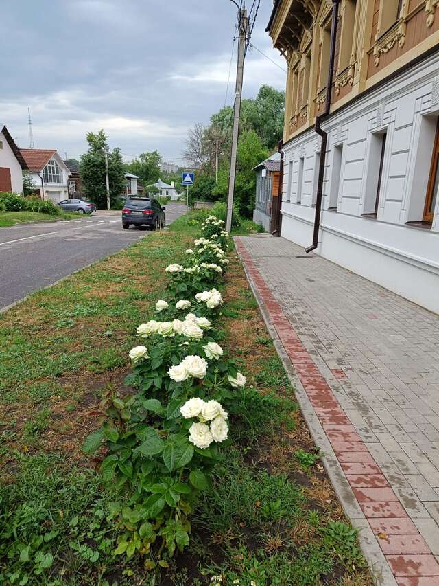 Отель Ильинка Владимир-103